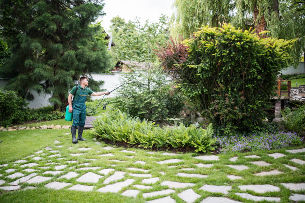 Best Emergency Pest Control  in Wayzata, MN