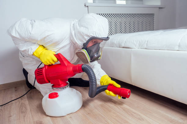 Reliable Wayzata, MN Pest Control Solutions