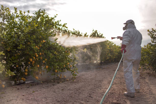 Best Pest Prevention Services  in Wayzata, MN