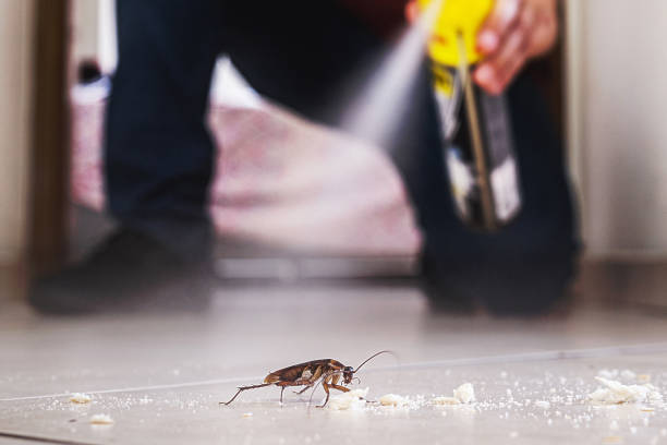 Flea Control Services in Wayzata, MN